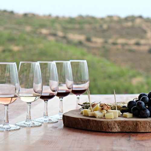 Cata de vinos Cata de vinos